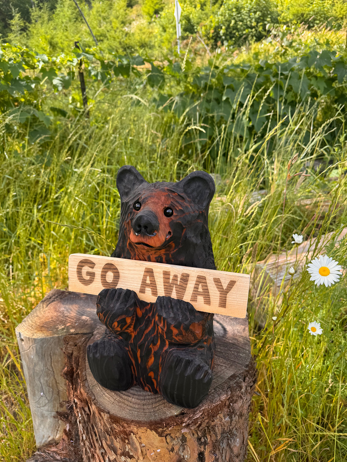 Wood Carved Bear Holding Sign 15" - Customizable - Brown