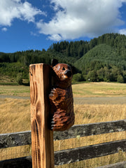 Wood Carved Climbing Bear for Posts, Poles, Trees, and More - 15 Inches, Easy to Mount and Display - Brown