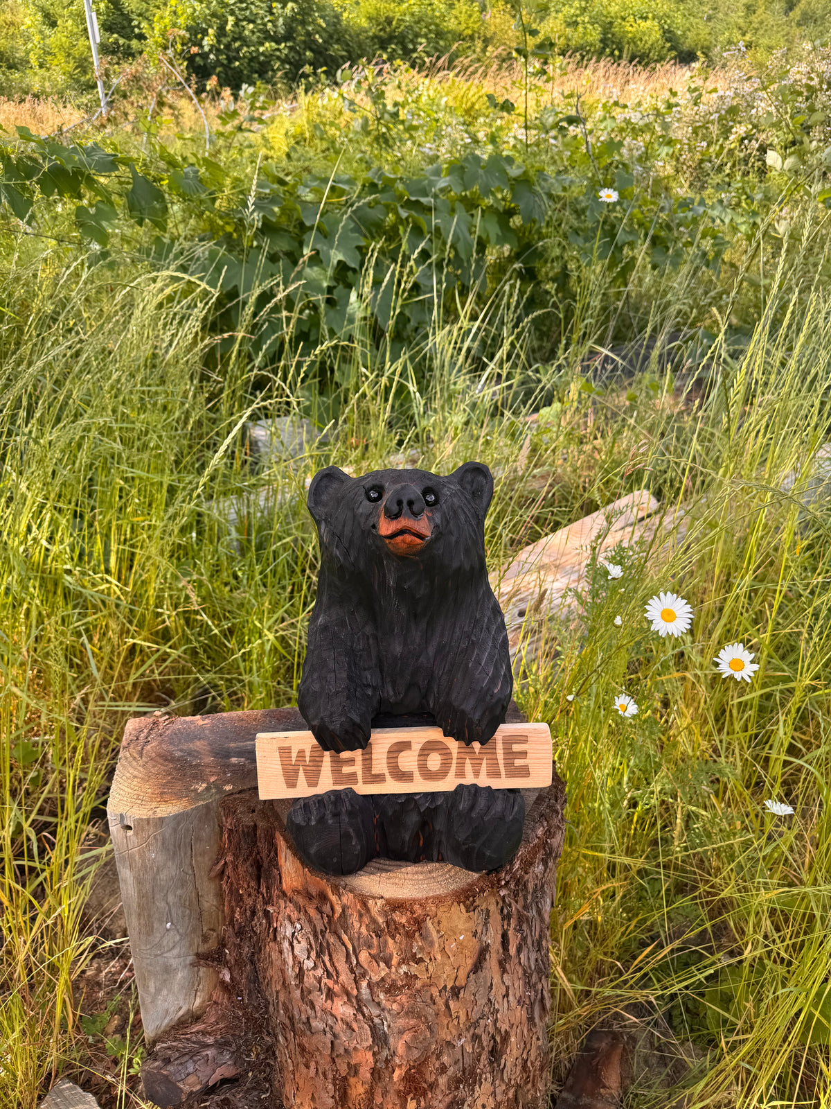 16” Wood Carved Sign Bear Looking Up - Reversible Welcome / Go Away Sign - Multiple Sign Options - Custom Signs (Copy)