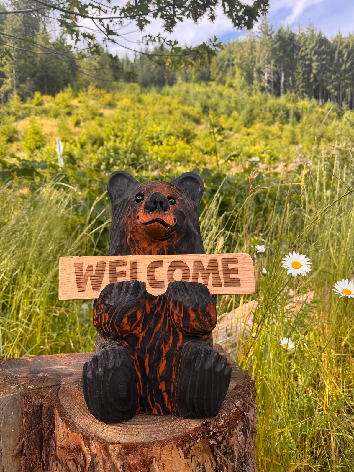 Wood Carved Bear Holding Sign 15" - Customizable - Brown