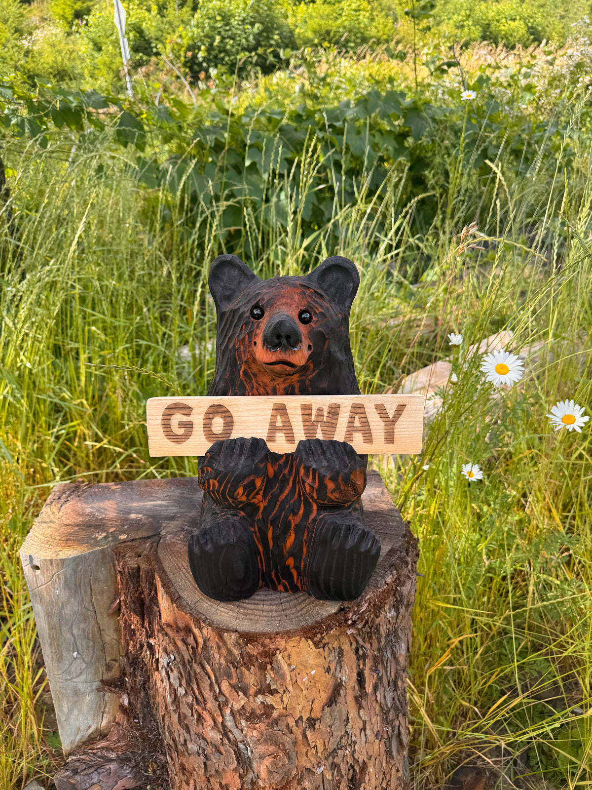 Wood Carved Bear Holding Sign 15" - Customizable - Brown