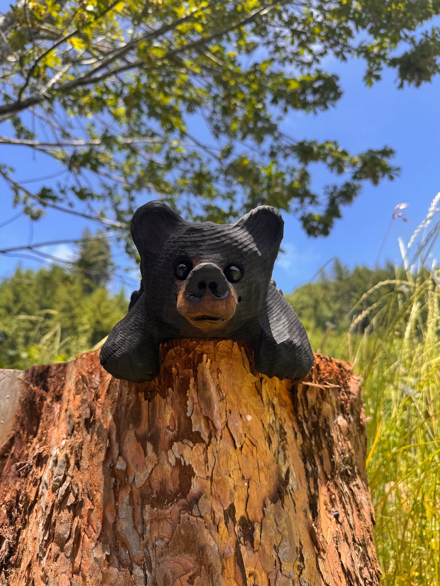 Chainsaw Carved Black Mantle Bear with Hanging Paws – 10”
