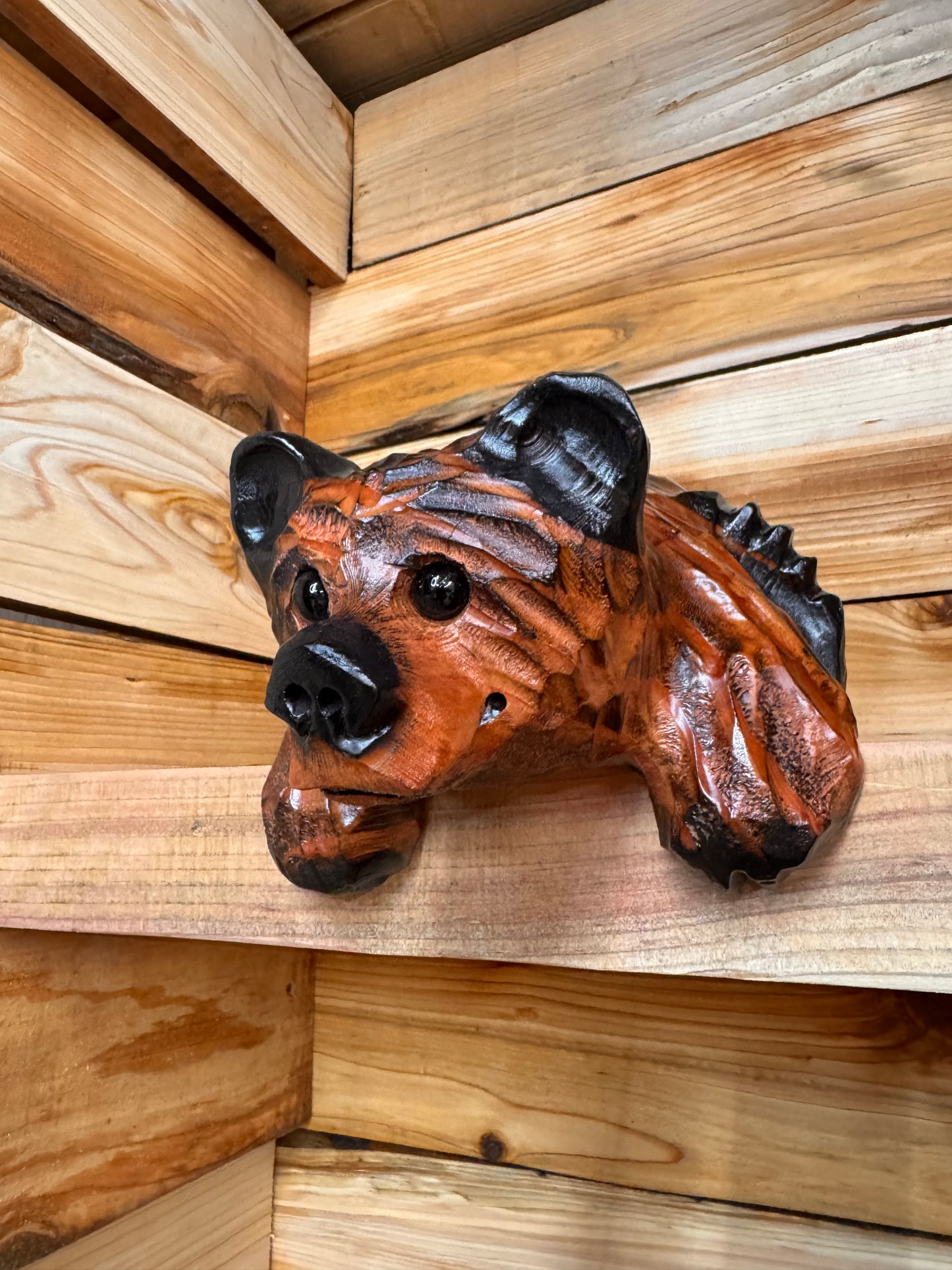 10” Hanging-Paws Ledge Bear – Giant Sequoia Redwood