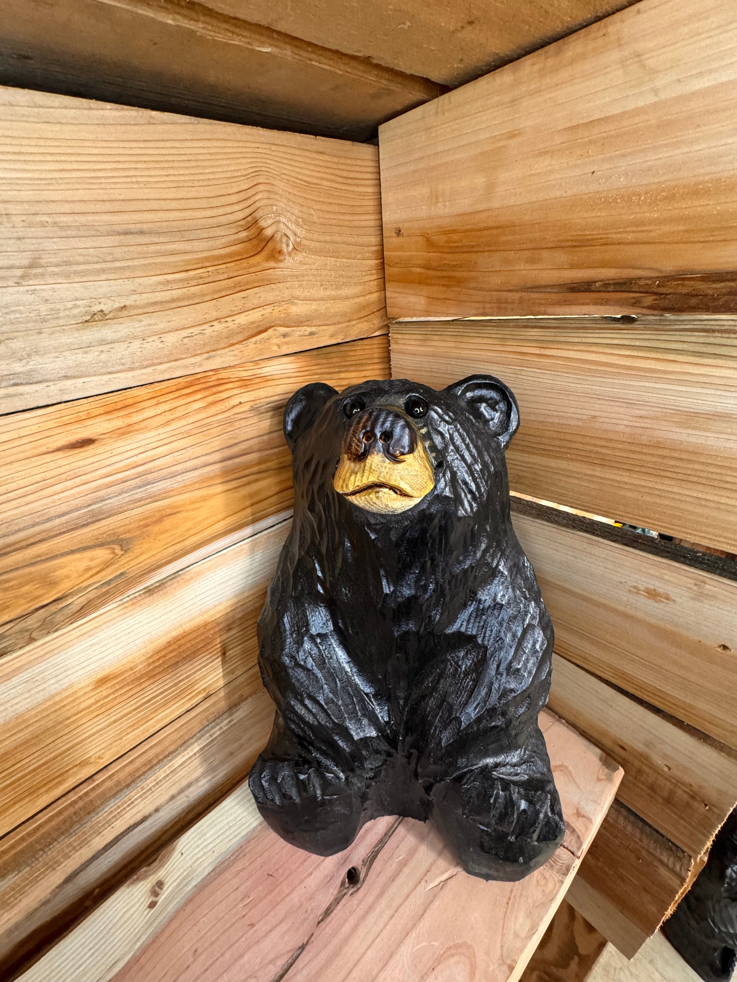 Chainsaw Carved Sitting Black Bear Looking Up – 15" Ponderosa Pine