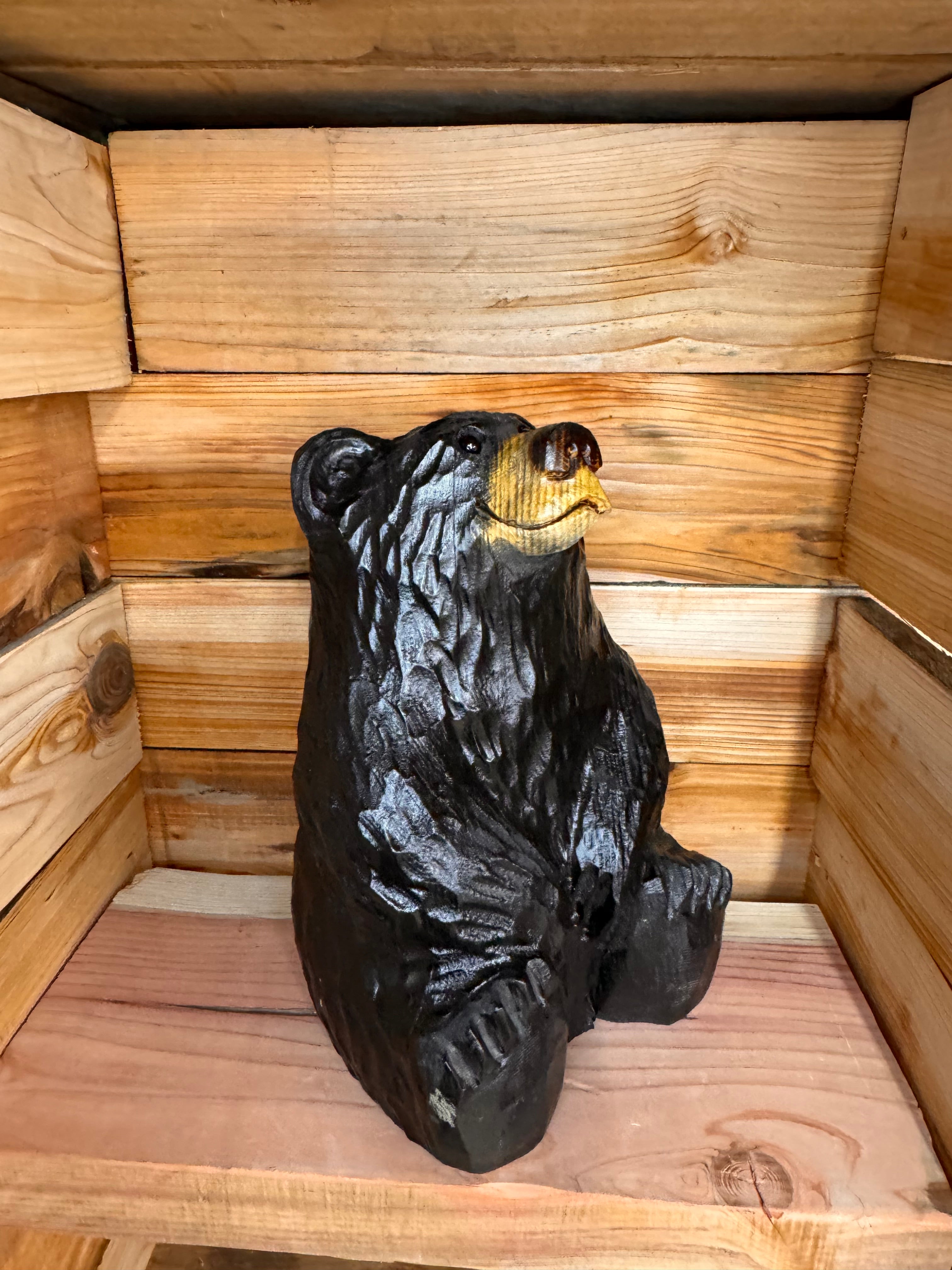 Chainsaw Carved Sitting Black Bear Looking Up – 15" Ponderosa Pine