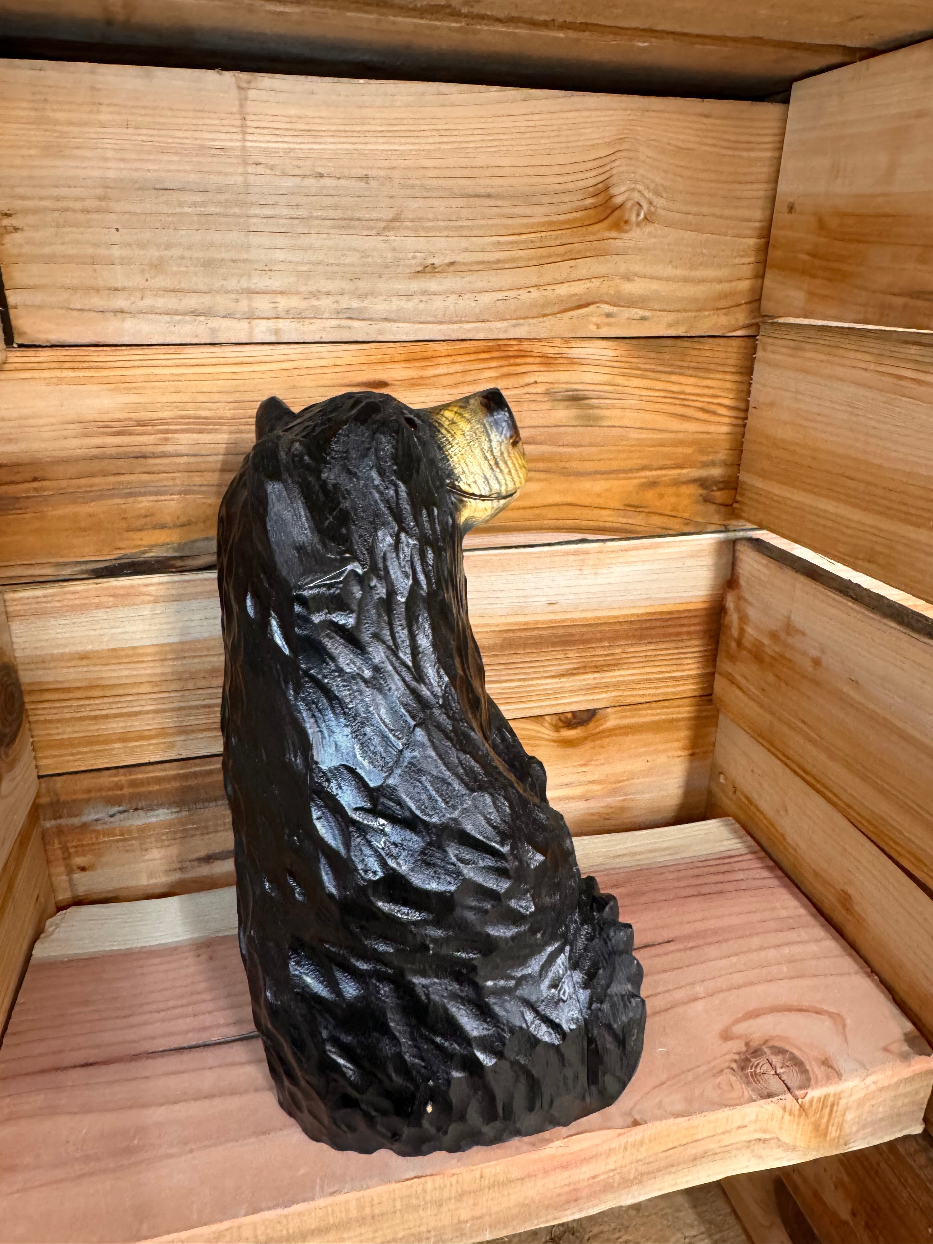 Chainsaw Carved Sitting Black Bear Looking Up – 15" Ponderosa Pine