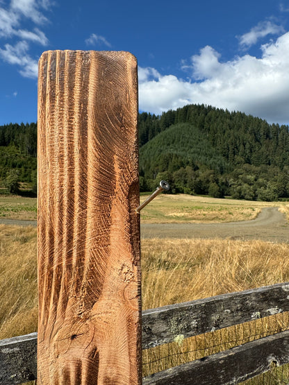 Wood Carved Climbing Bear for Posts, Poles, Trees, and More - 15 Inches, Easy to Mount and Display - Brown