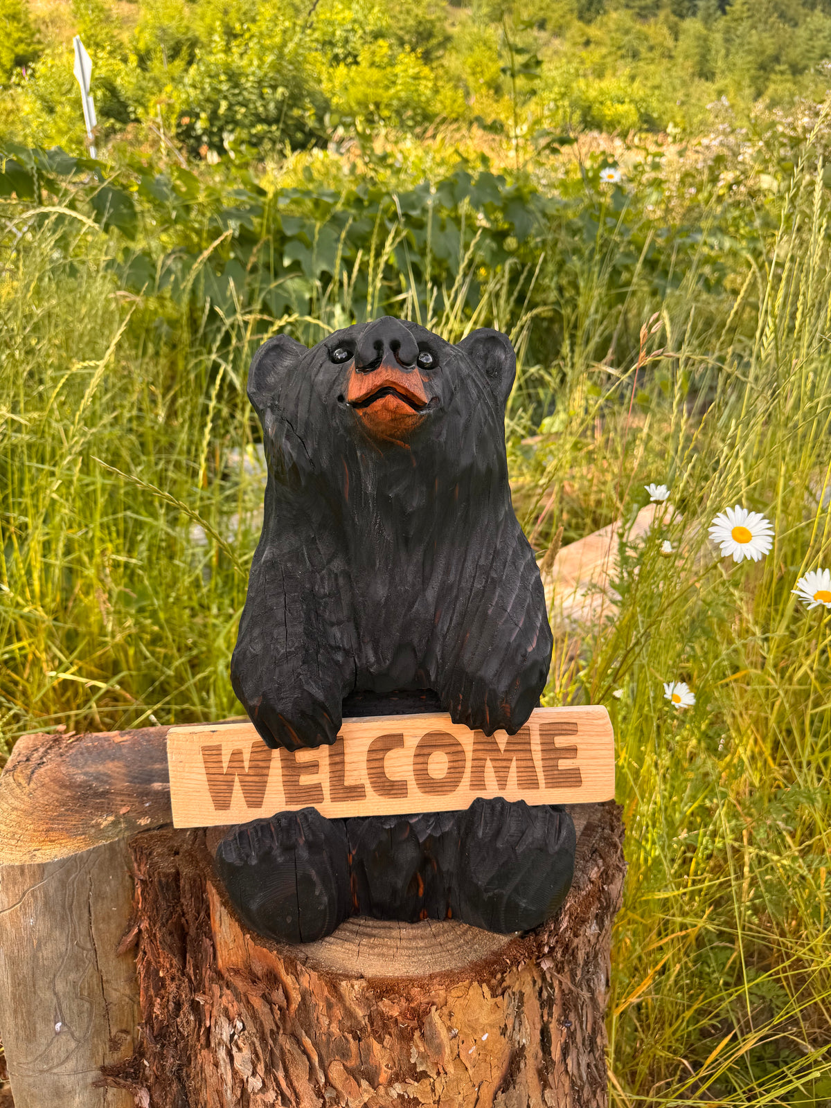 16” Wood Carved Sign Bear Looking Up - Reversible Welcome / Go Away Sign - Multiple Sign Options - Custom Signs (Copy)
