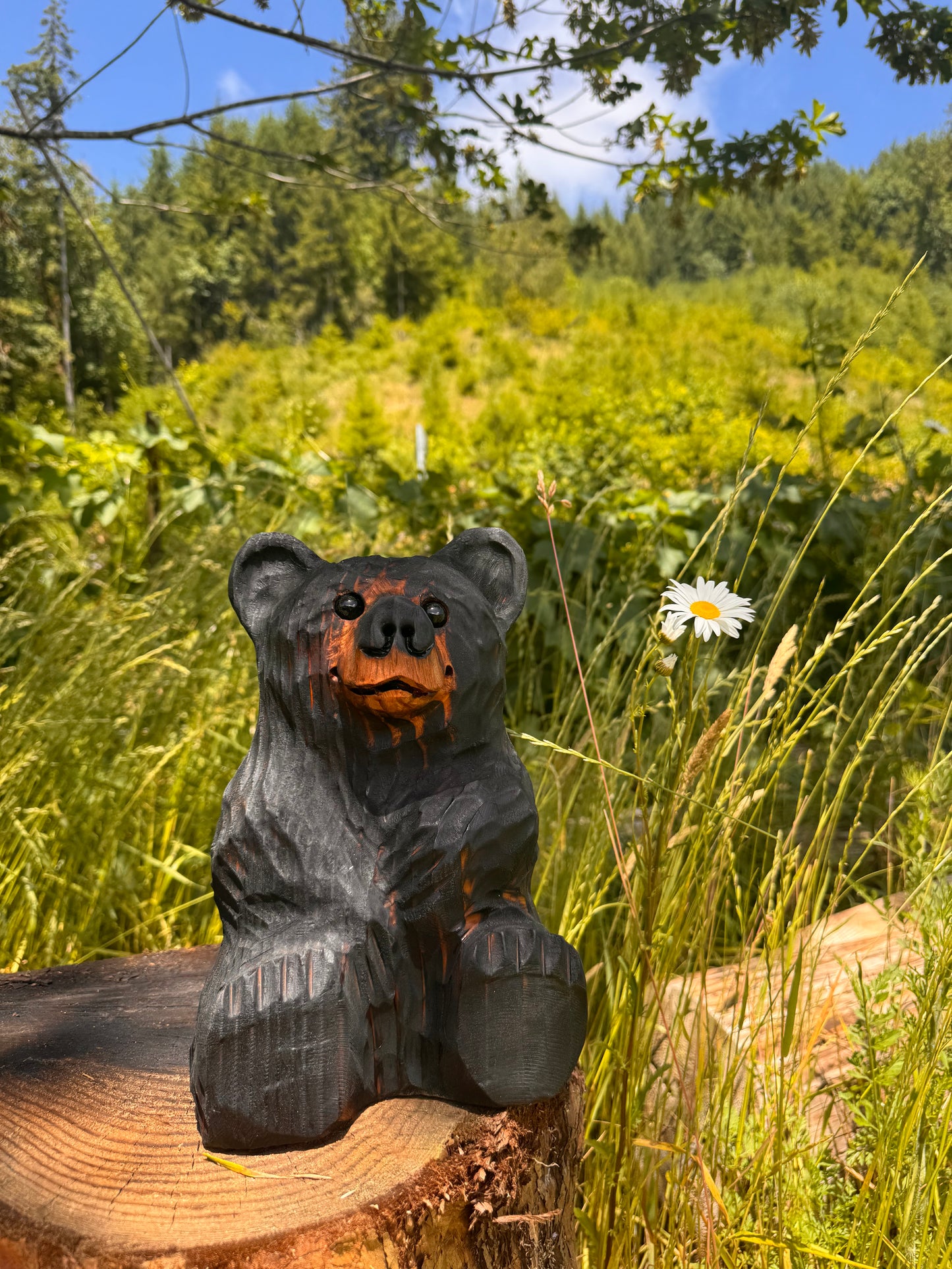 Wood Carved Sitting Bear 12"