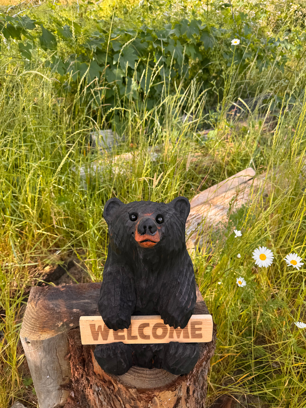 16” Wood Carved Sign Bear Looking Up - Reversible Welcome / Go Away Sign - Multiple Sign Options - Custom Signs (Copy)