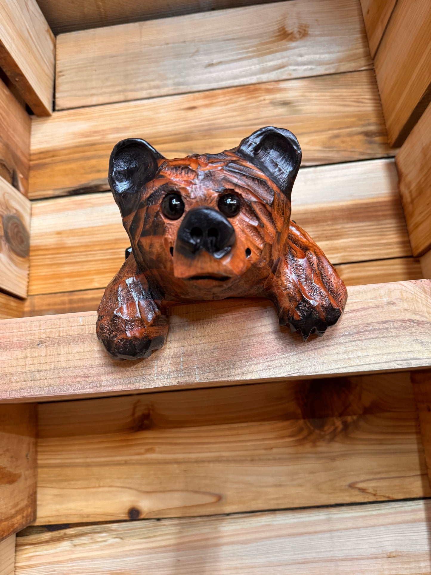 10” Hanging-Paws Ledge Bear – Giant Sequoia Redwood