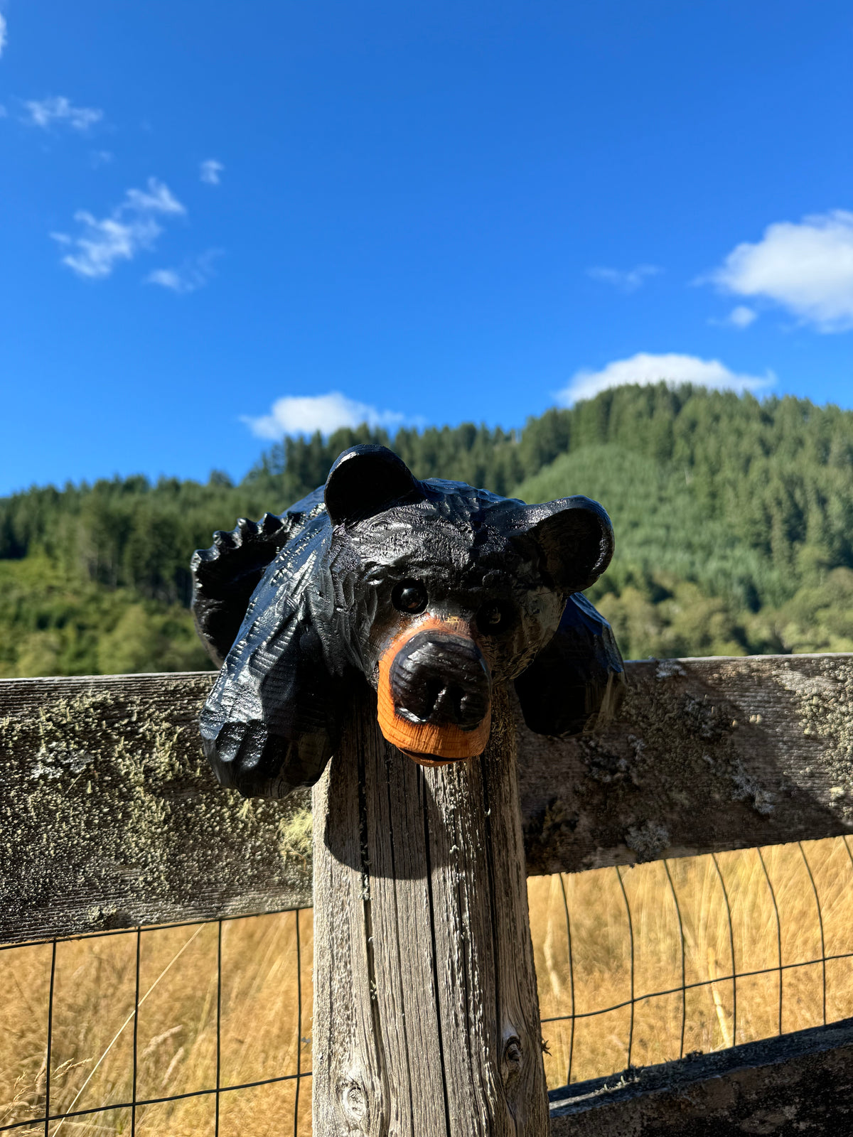 Black Bear Laying Over Ledge – 15” Wood Carving