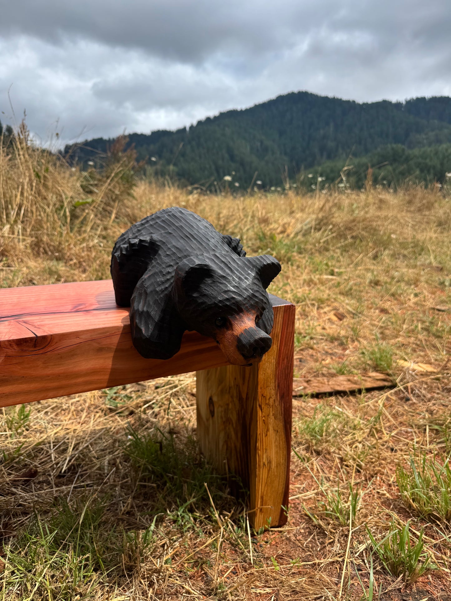 Chainsaw Carved Burnt Black Hanging Ledge Bear – 15" Giant Sequoia Redwood