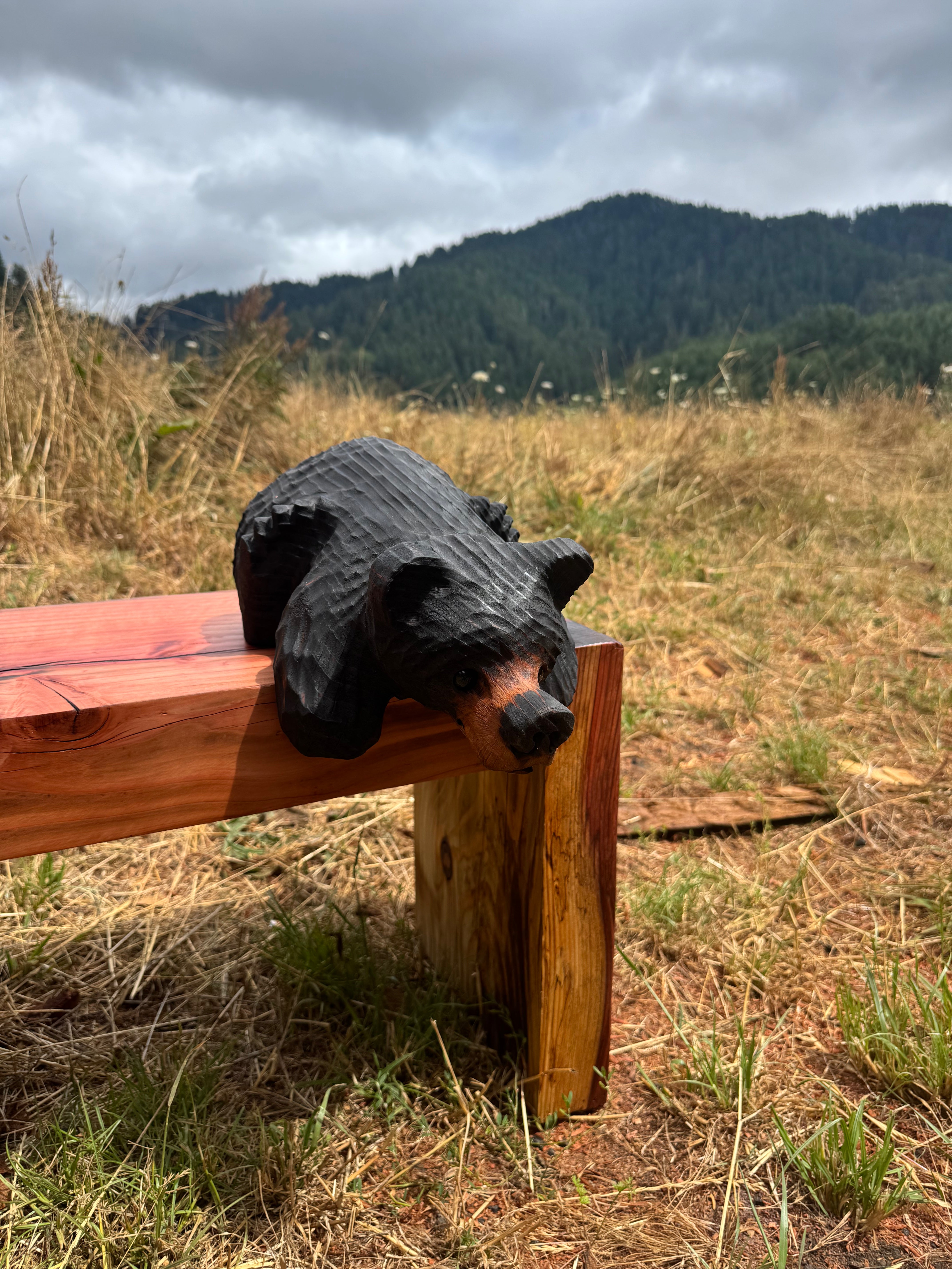 Chainsaw Carved Burnt Black Hanging Ledge Bear – 15" Giant Sequoia Redwood