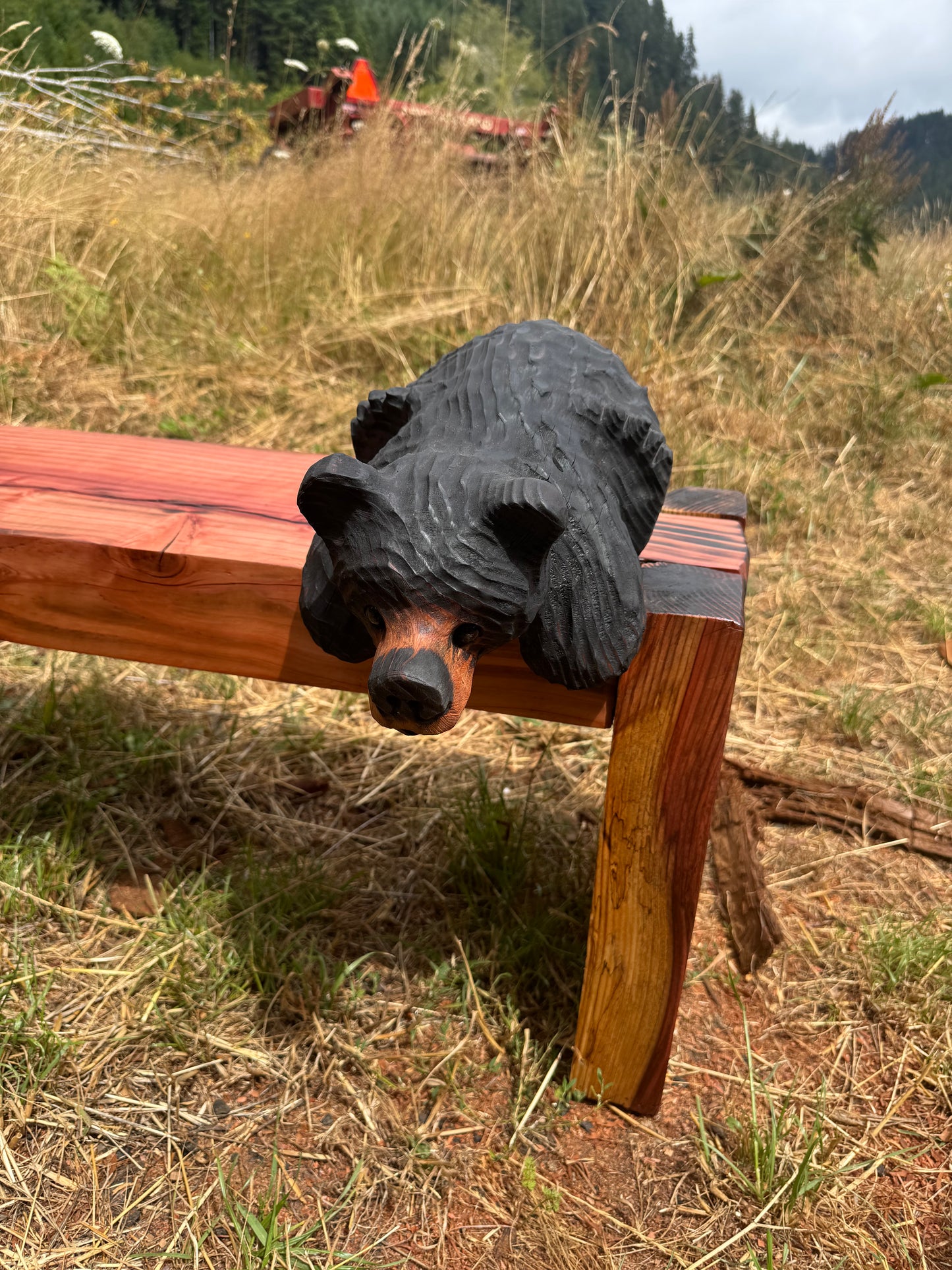 Chainsaw Carved Burnt Black Hanging Ledge Bear – 15" Giant Sequoia Redwood