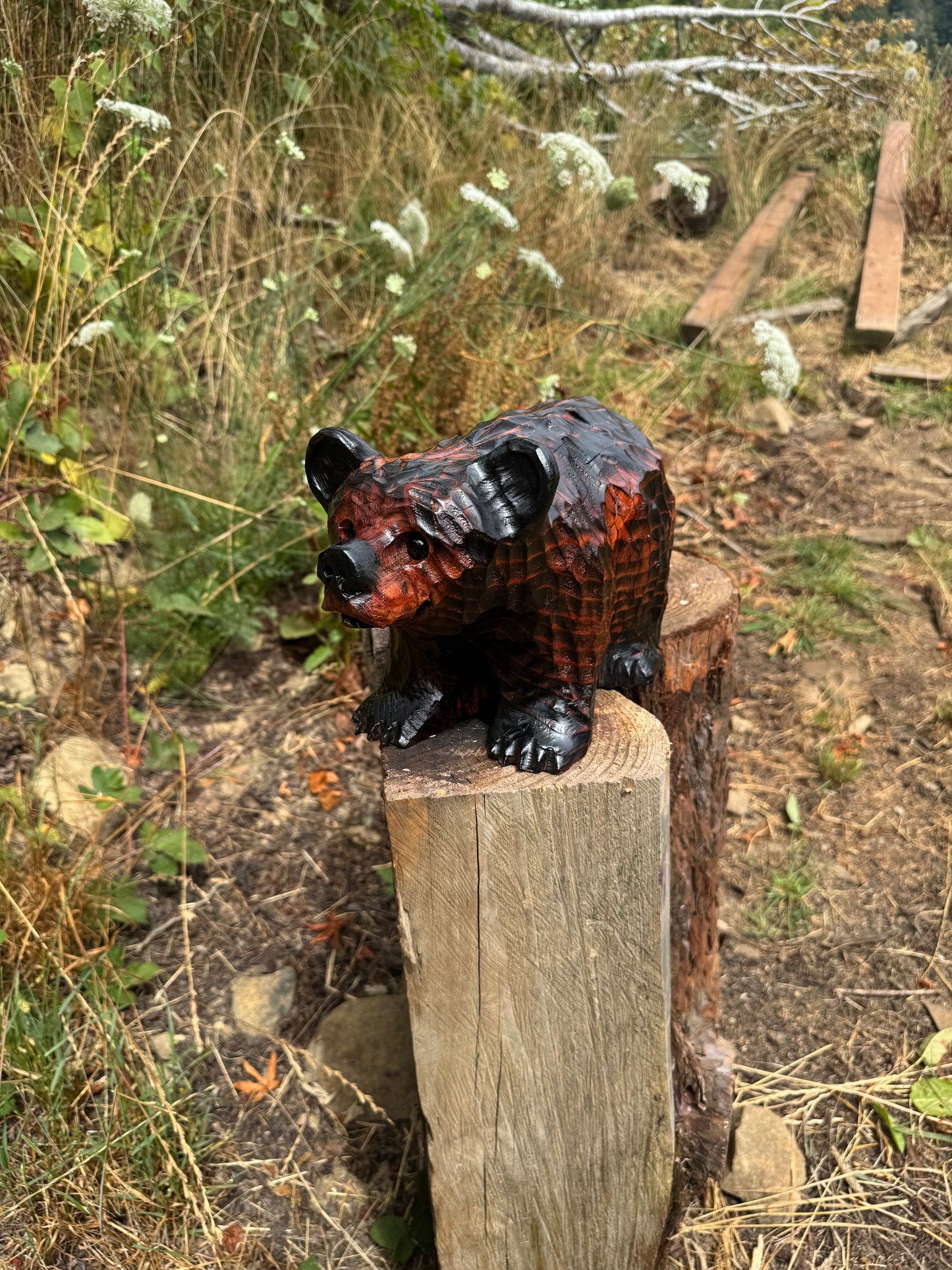 Chainsaw Carved Bear on All Fours – 12" Giant Sequoia Redwood