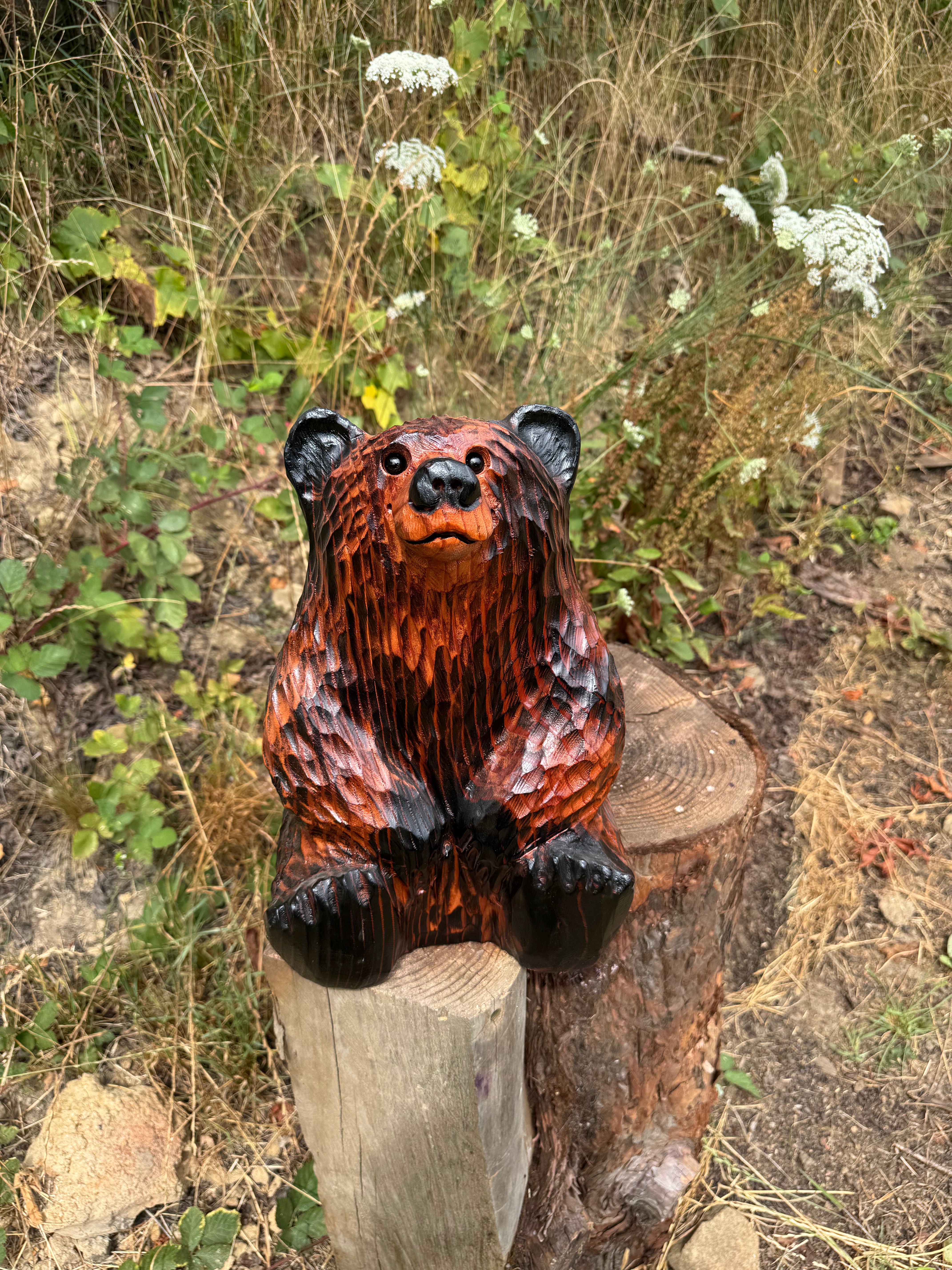 Chainsaw Carved Looking-Up Bear – 15" Giant Sequoia Redwood