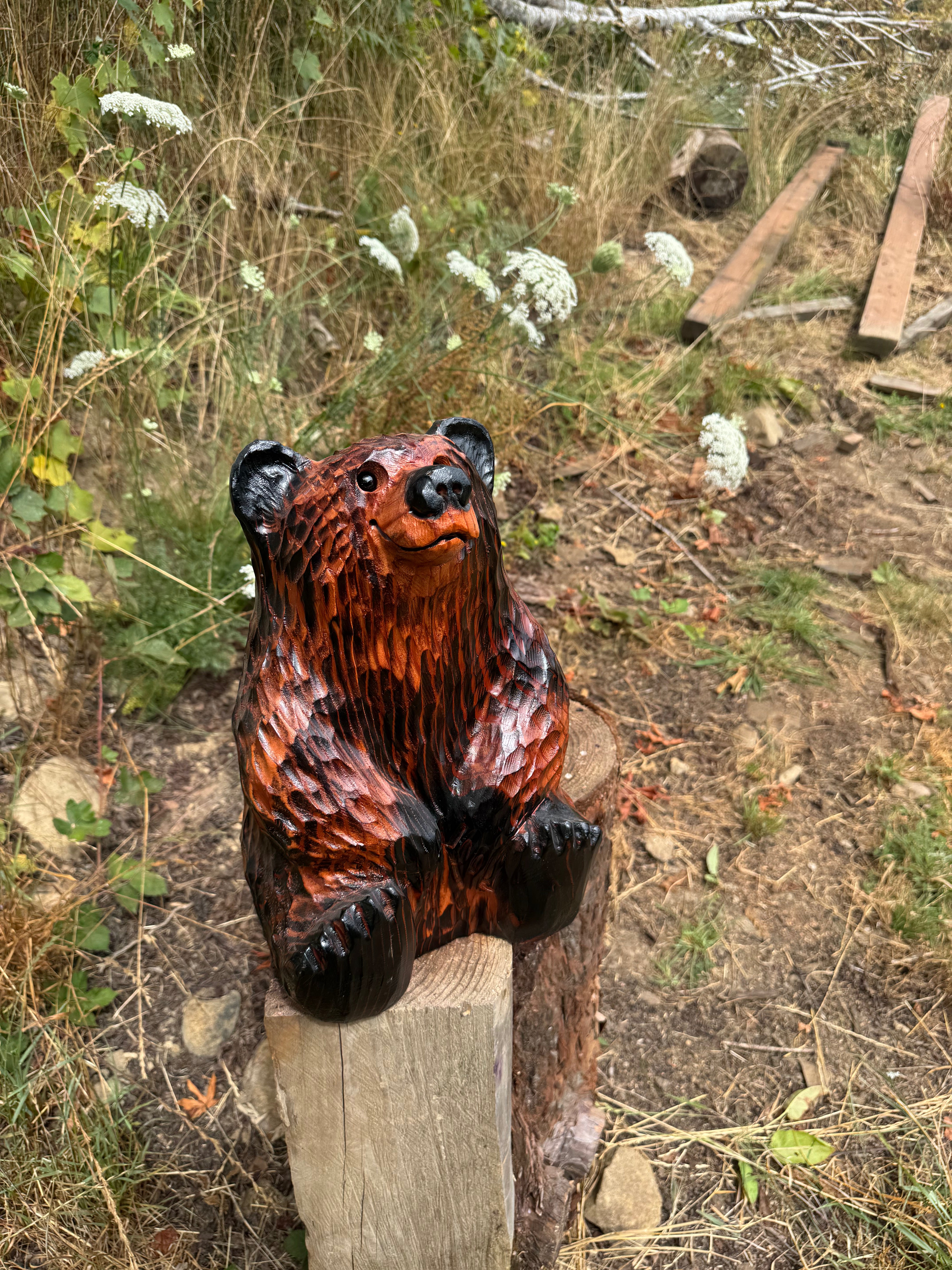Chainsaw Carved Looking-Up Bear – 15" Giant Sequoia Redwood