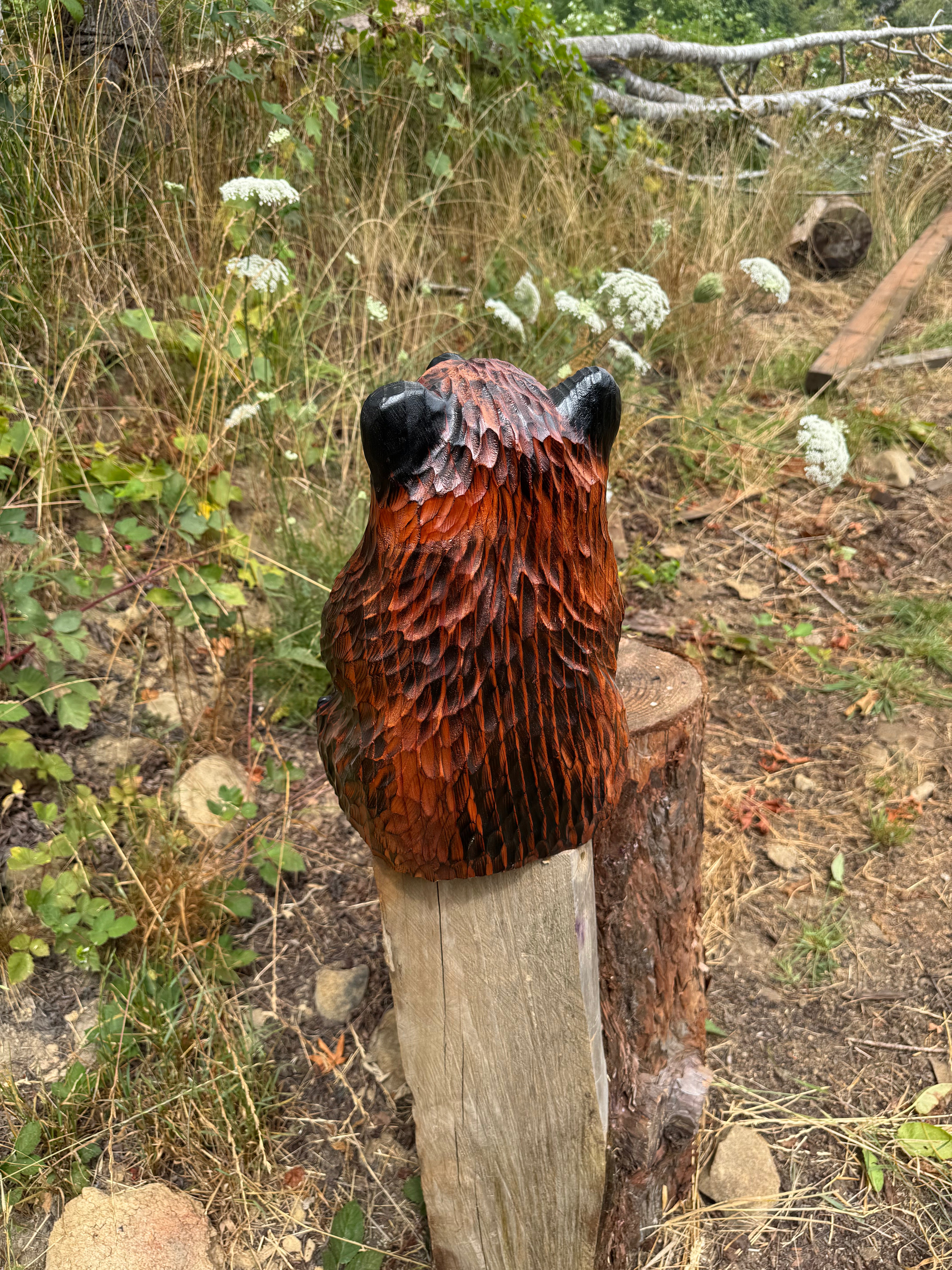 Chainsaw Carved Looking-Up Bear – 15" Giant Sequoia Redwood