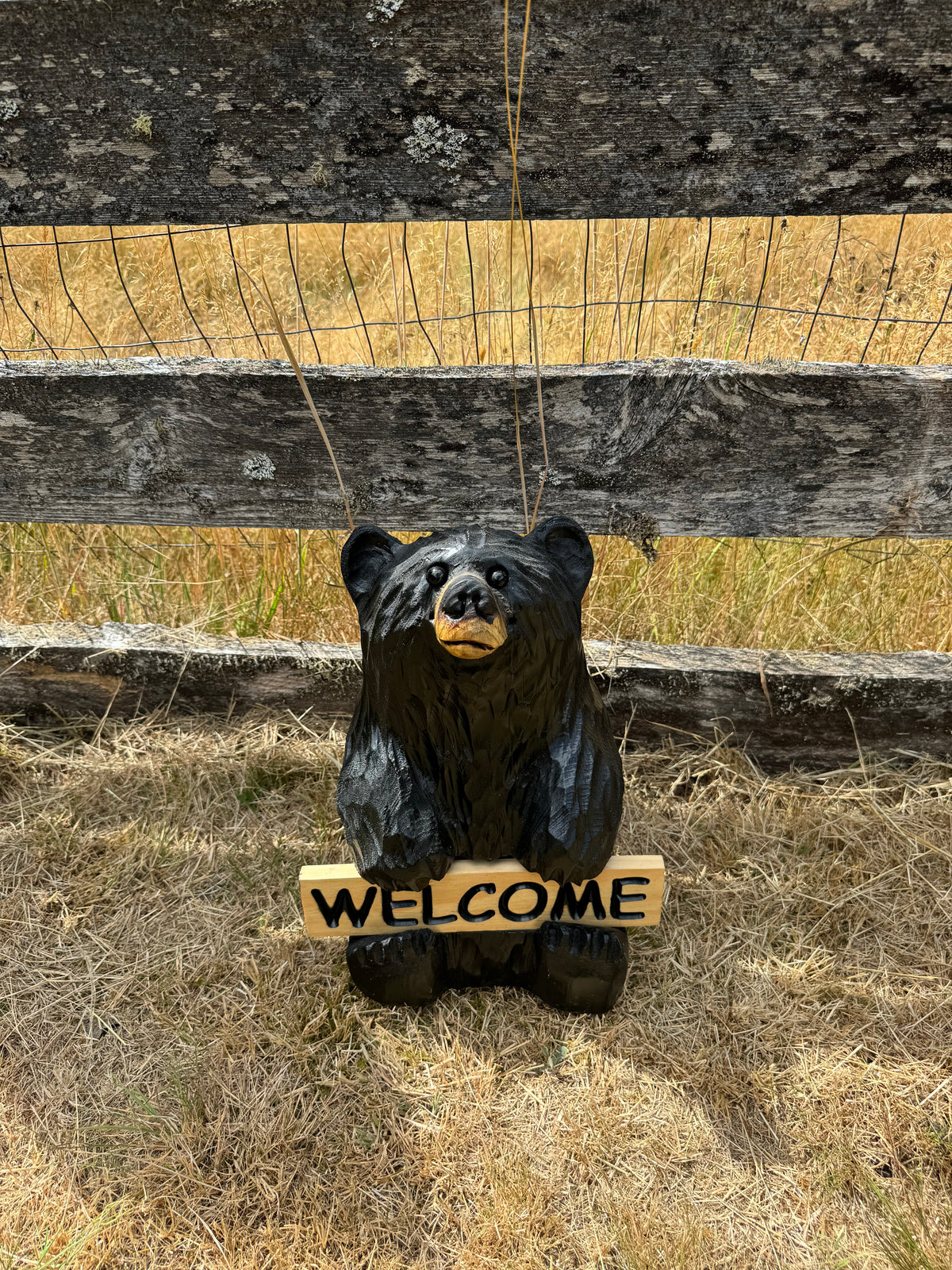 16” Wood Carved Sign Bear Looking Up - Reversible Welcome / Go Away Sign - Multiple Sign Options - Custom Signs