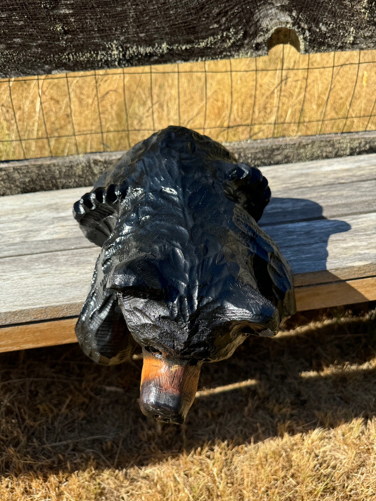 Black Bear Laying Over Ledge – 15” Wood Carving