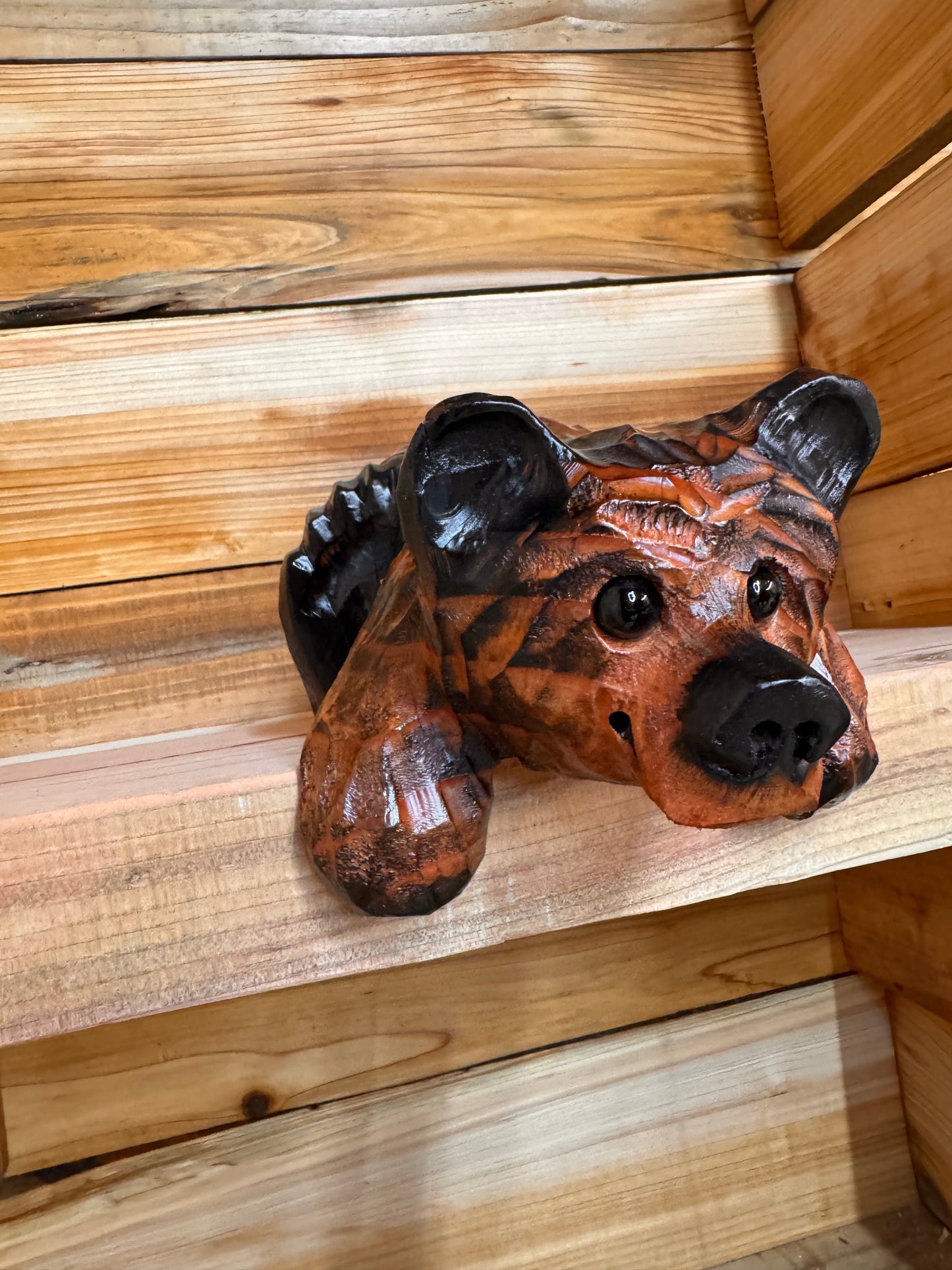 10” Hanging-Paws Ledge Bear – Giant Sequoia Redwood
