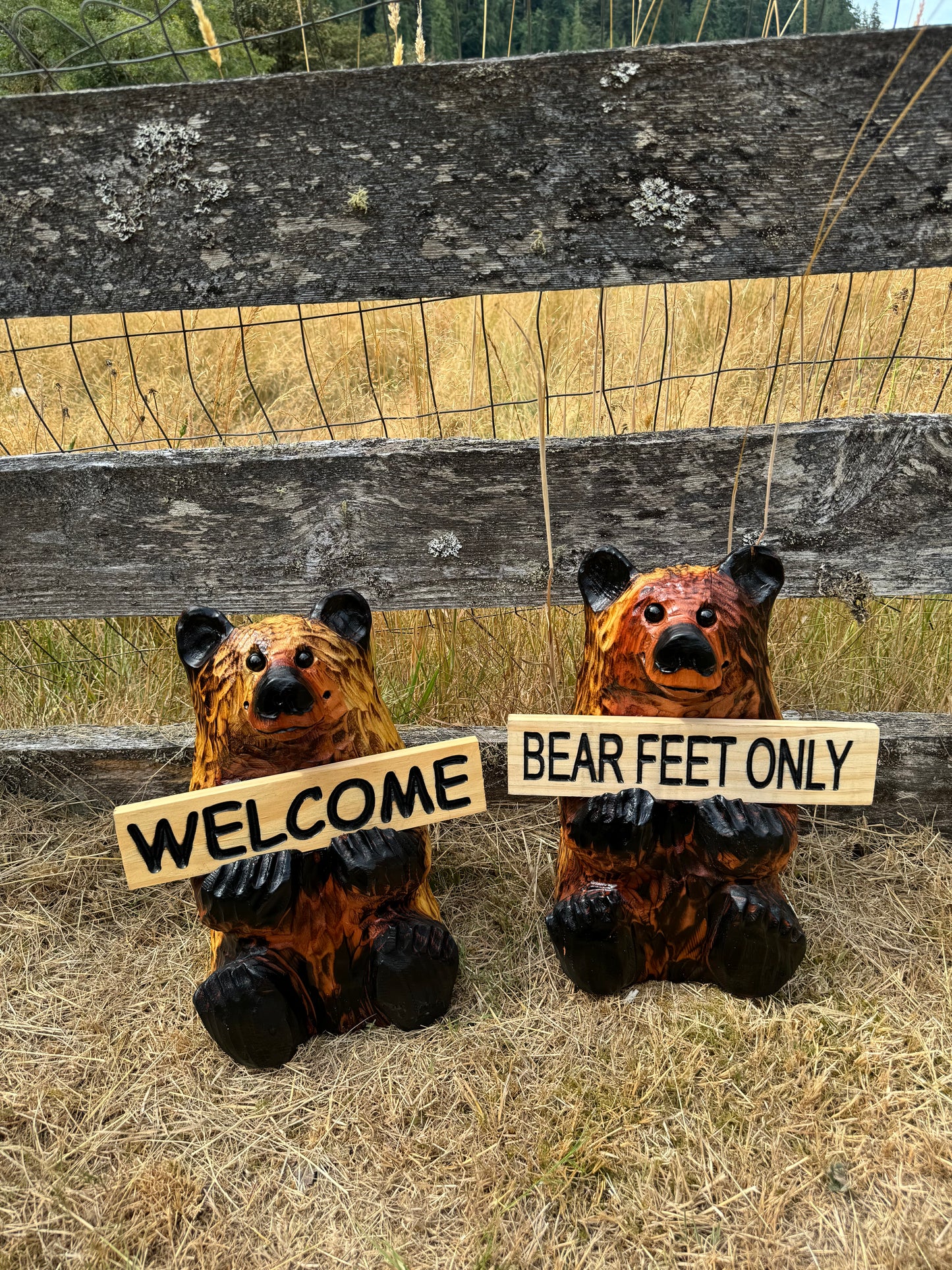 Wood Carved Bear Holding Sign 15" - Customizable - Brown