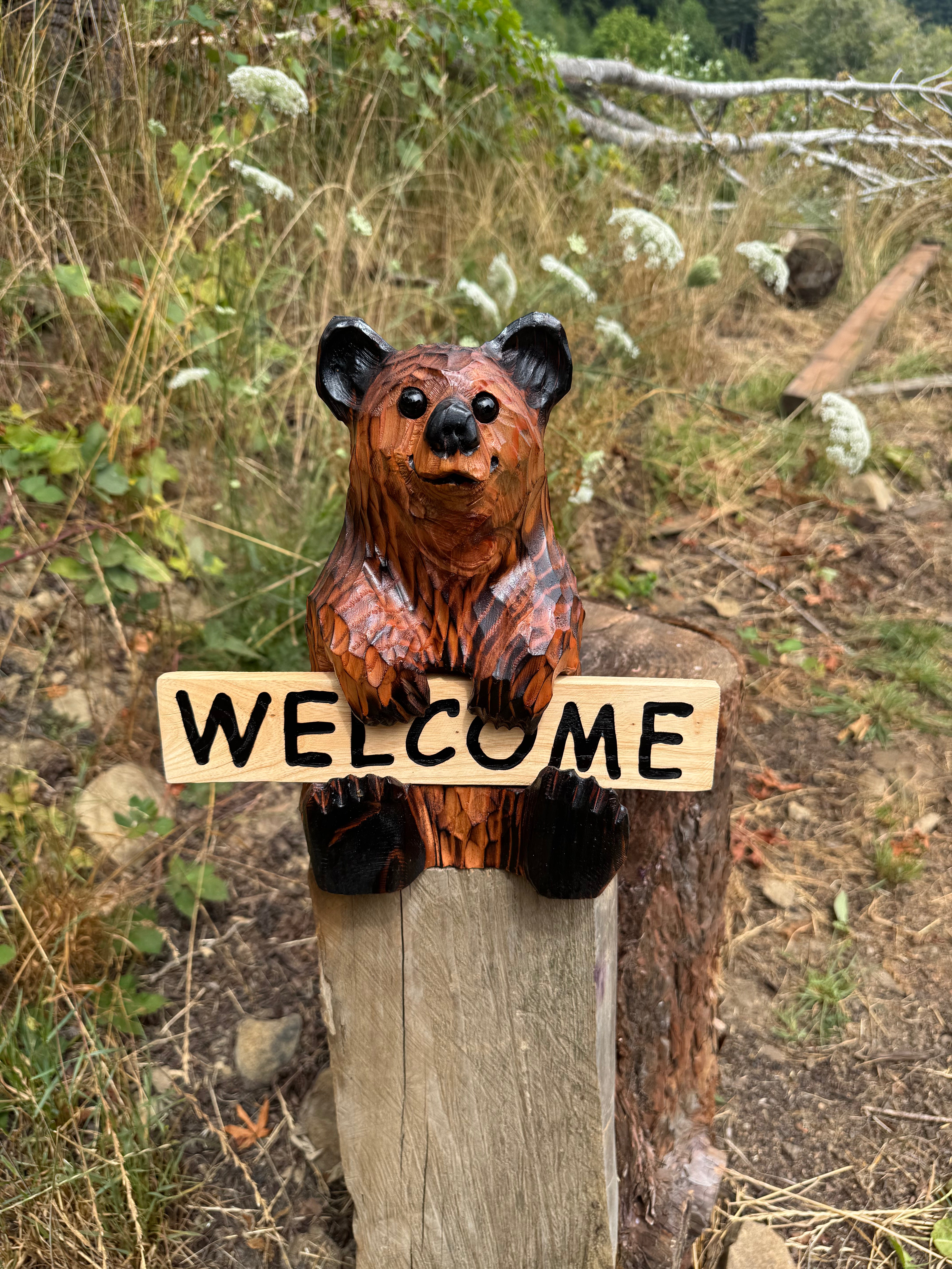 Chainsaw Carved Sitting Brown Bear with Reversible Sign – 11" Giant Sequoia Redwood