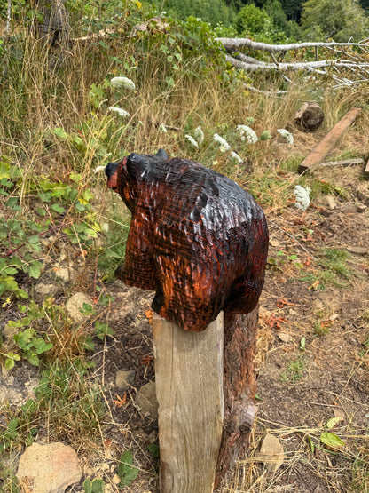 Chainsaw Carved Brown Bear on All Fours – 24 Inches