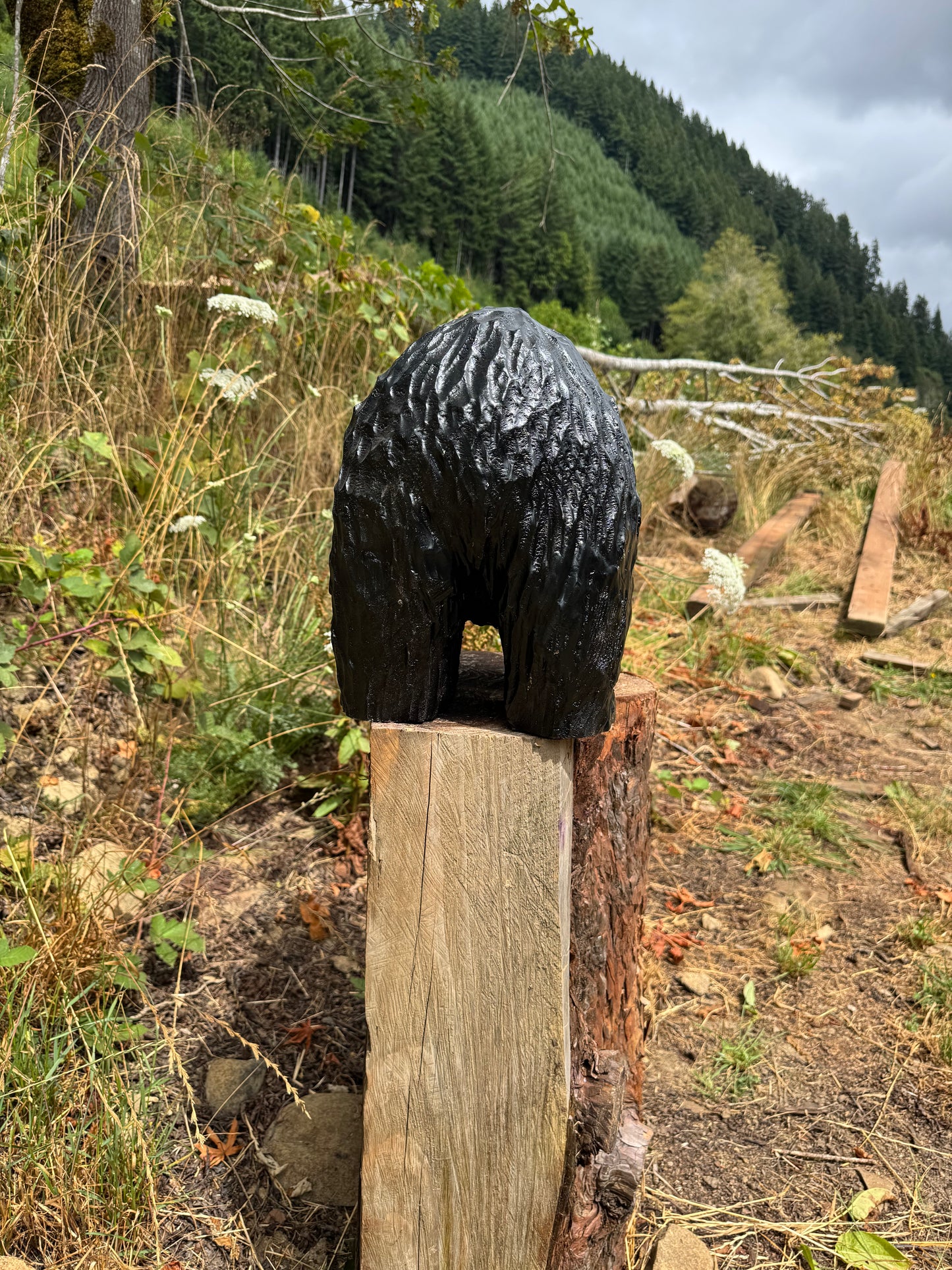 Chainsaw Carved Black Bear on All Fours – 24 Inches