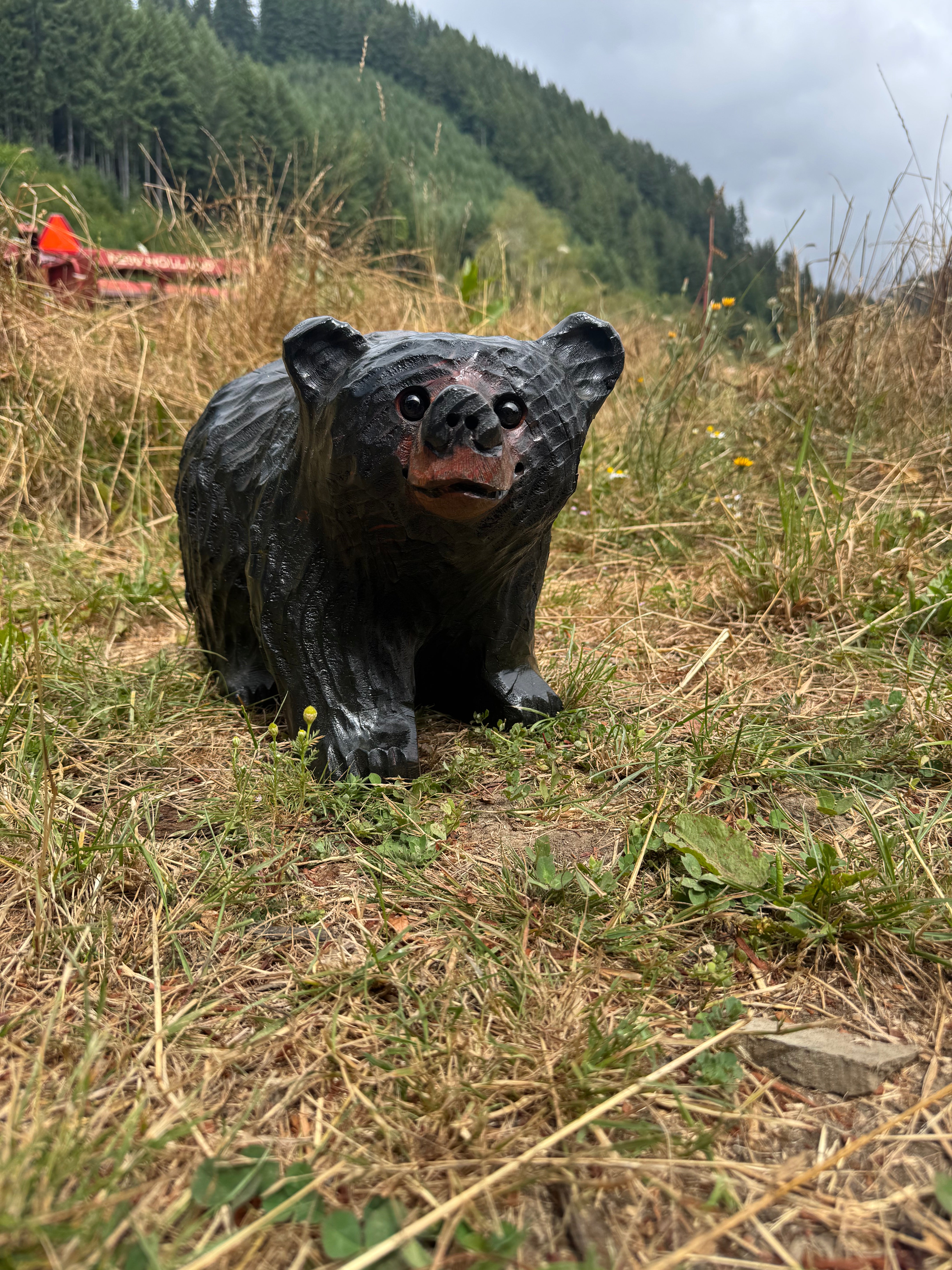 Chainsaw Carved Black Bear on All Fours Looking Right – 15" Giant Sequoia Redwood