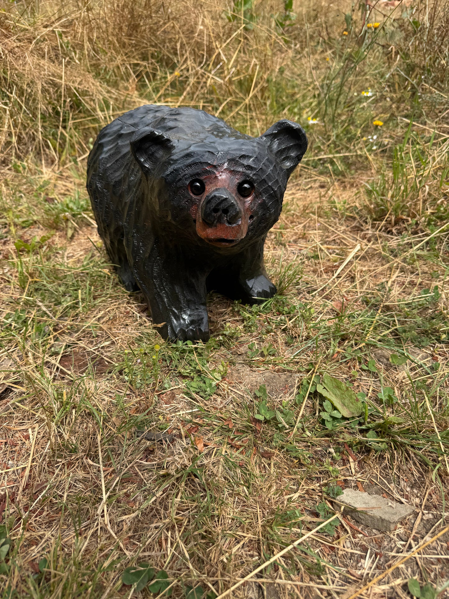 Chainsaw Carved Black Bear on All Fours Looking Right – 15" Giant Sequoia Redwood