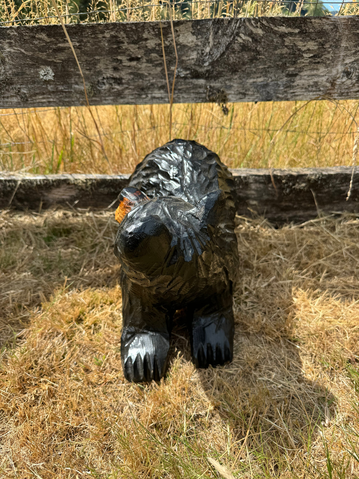 15” Chainsaw Carved Bear on All Fours “Look Back at It” - Black
