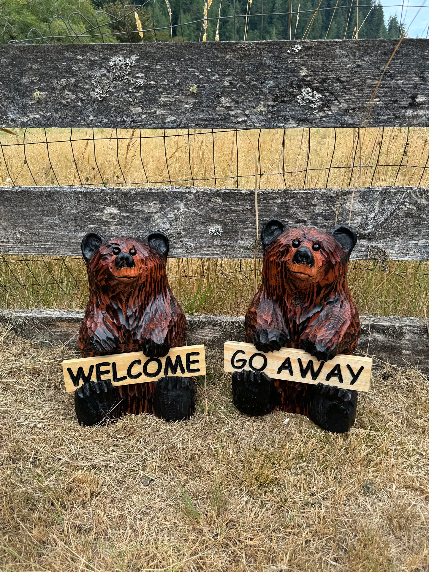 Wood Carved Bear Holding Welcome/Go Away Sign - Customizable, 15 Inches Tall - Brown