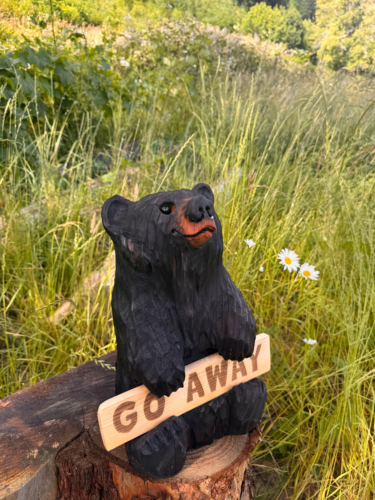 16” Wood Carved Sign Bear Looking Up - Reversible Welcome / Go Away Sign - Multiple Sign Options - Custom Signs (Copy)