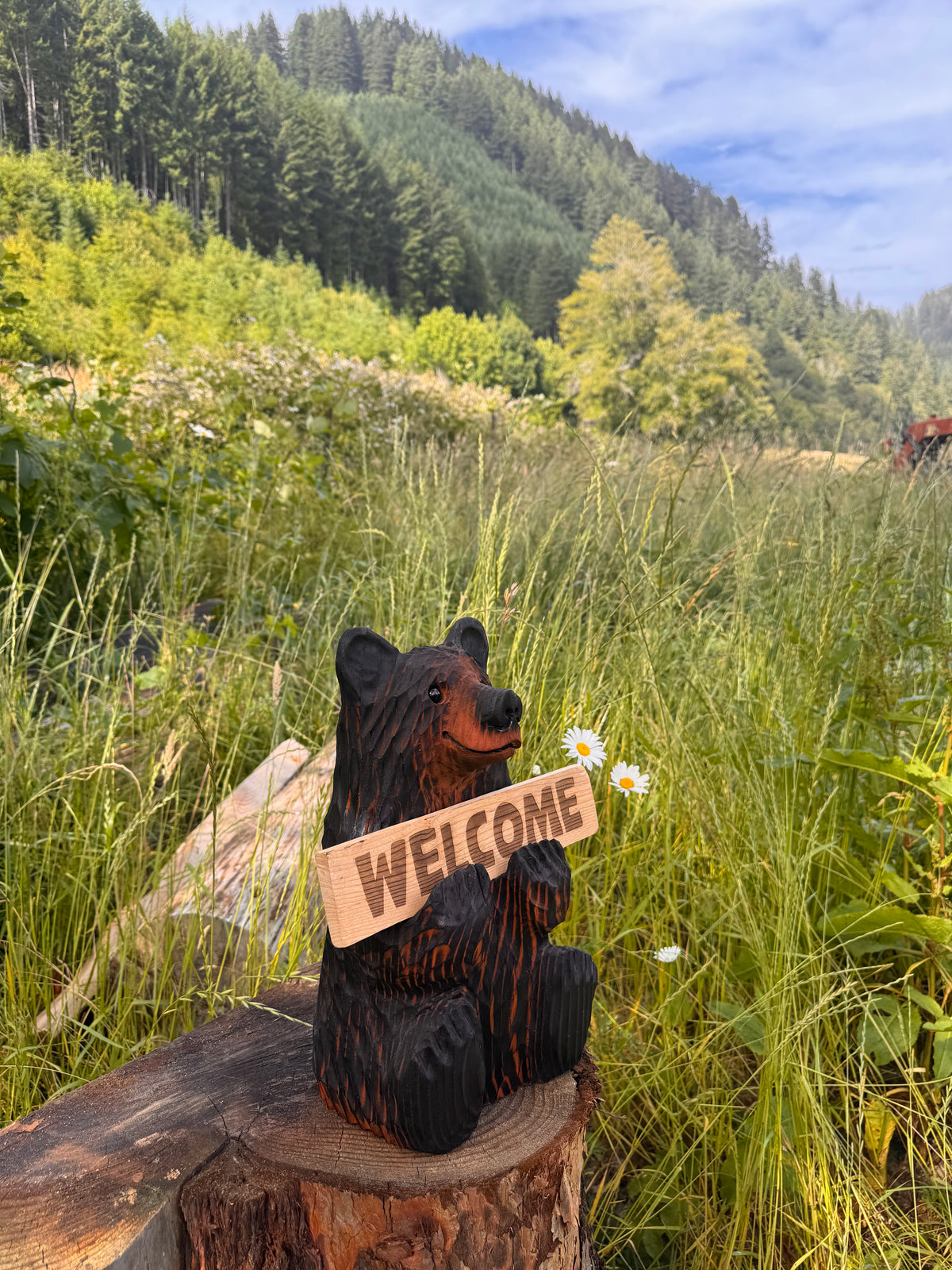 Wood Carved Bear Holding Sign 15" - Customizable - Brown