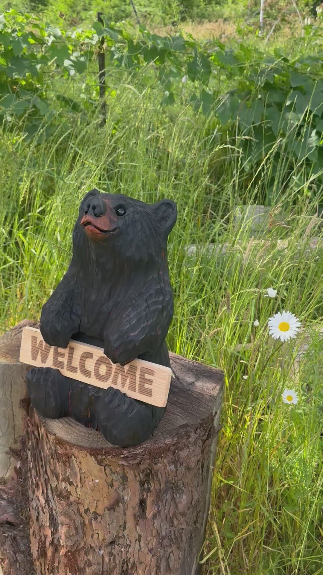 Load video: 16” Wood Carved Sign Bear Looking Up - Reversible Welcome / Go Away Sign - Multiple Sign Options - Custom Signs (Copy)