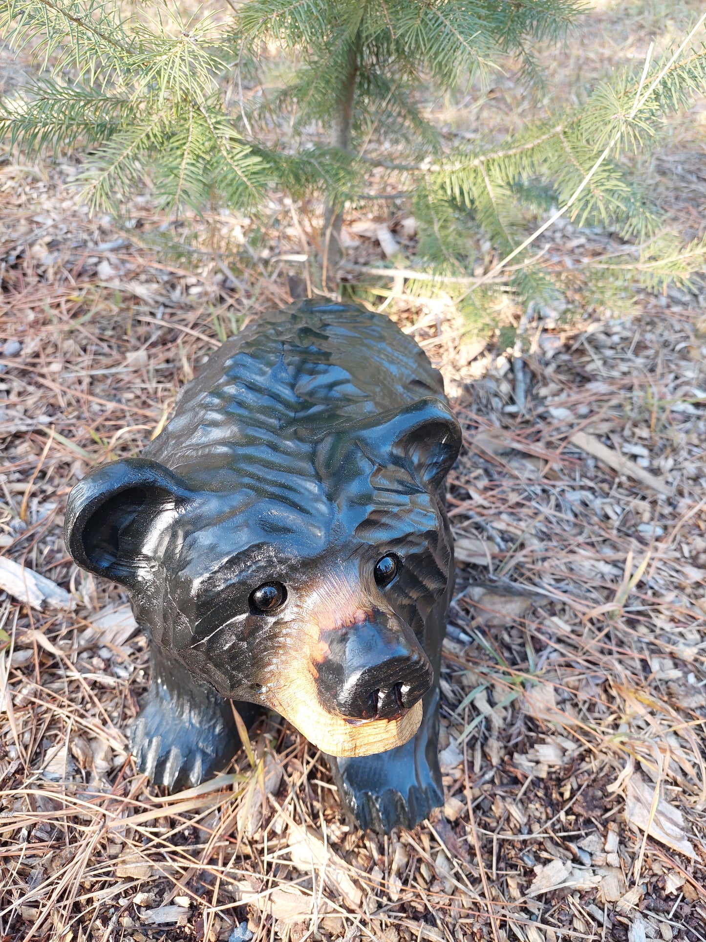 Handcrafted Wood Carving of Bear Standing on All 4s - 15 Inches, Chainsaw Carving, Looking Left
