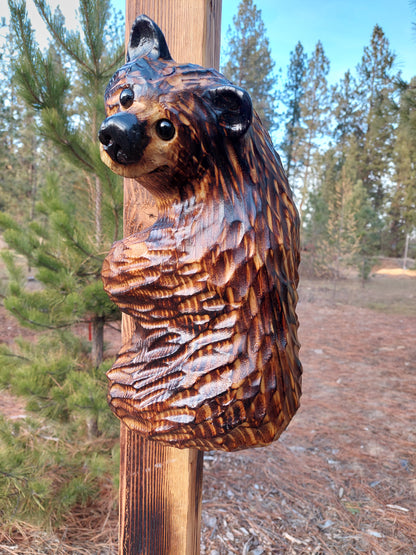 Wood Carved Climbing Bear for Posts, Poles, Trees, and More - 15 Inches, Easy to Mount and Display