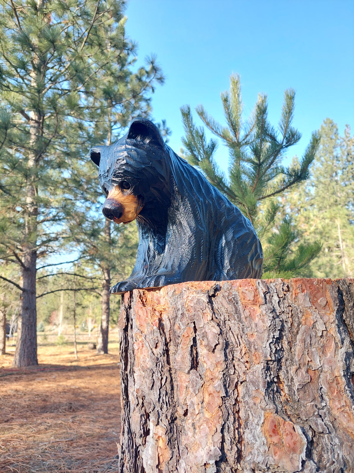 Wood Carved Bear on All Fours Looking Down 12"- Perfect for Elevated Display - Black