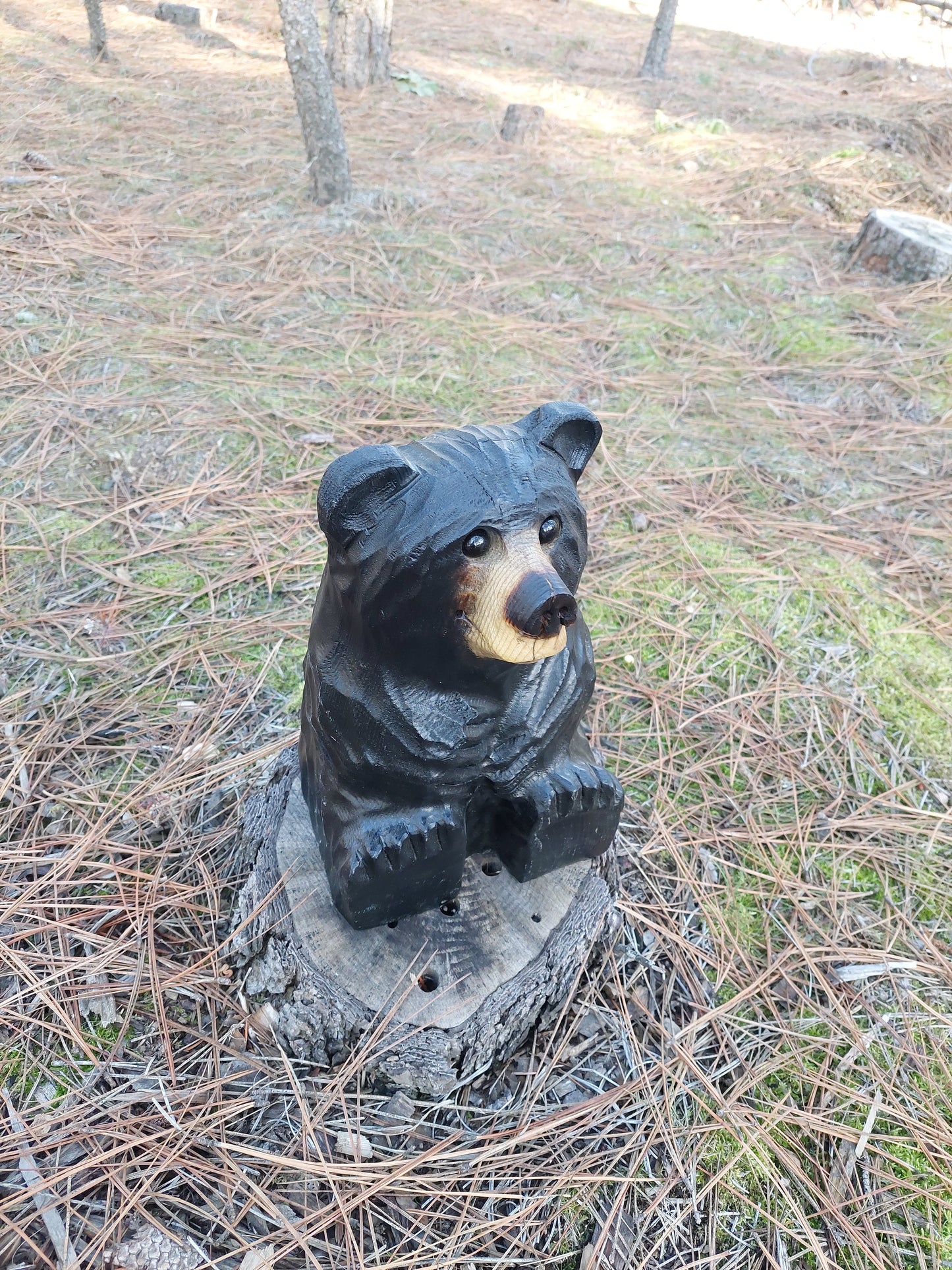 Wood Carved Sitting Bear 12"