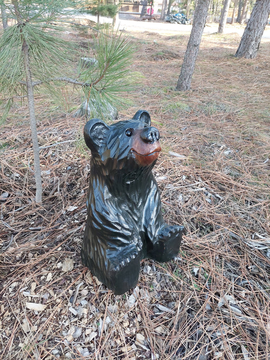 #8 15" Sitting Bear Looking Up