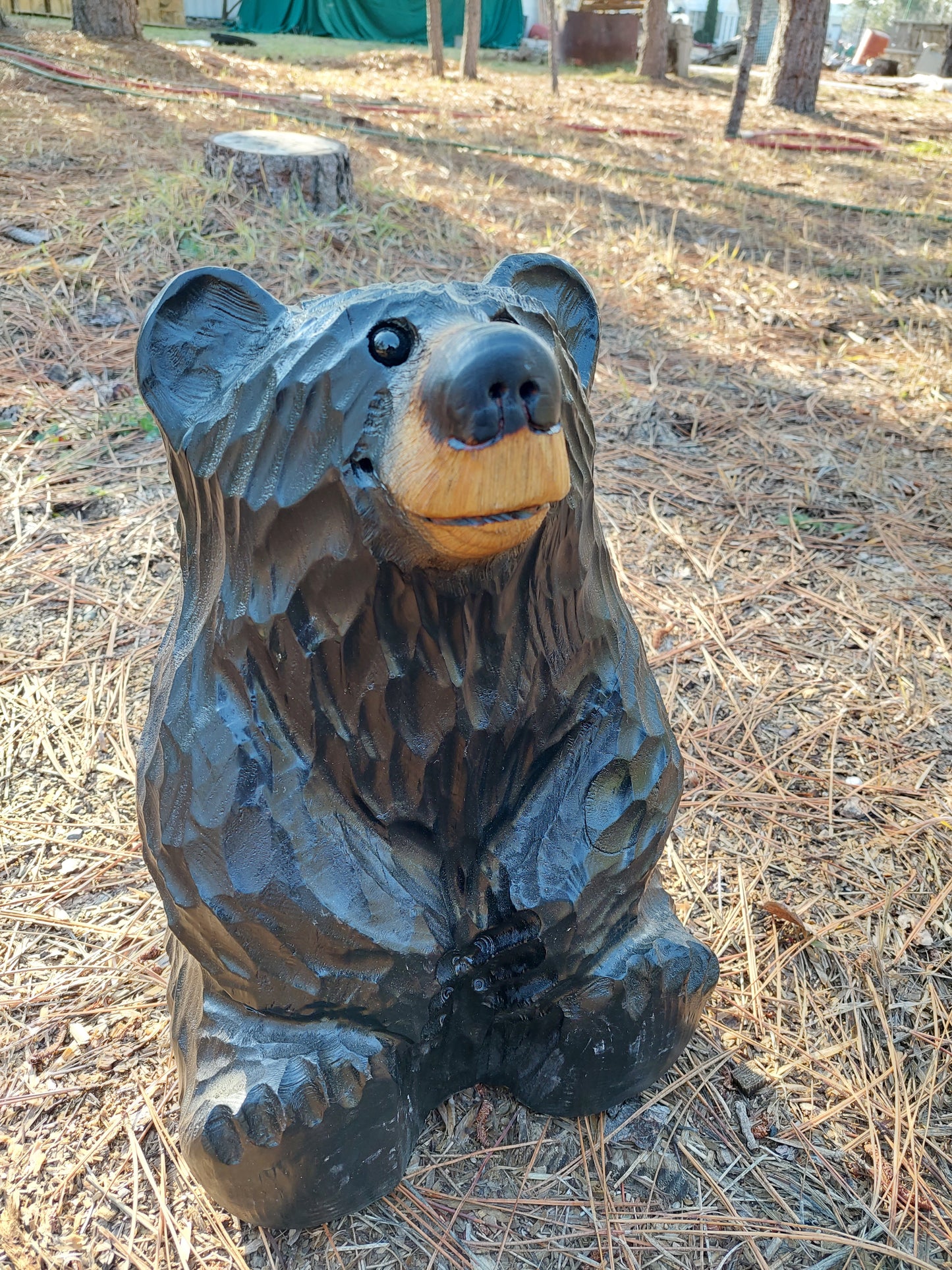 Handcrafted Wood Carved Sitting Bear - 15 Inches Tall, Looking Up